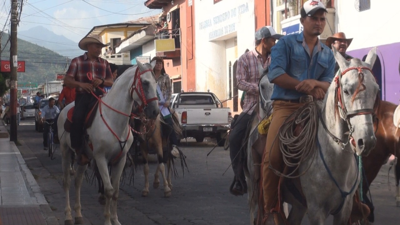 Toros1